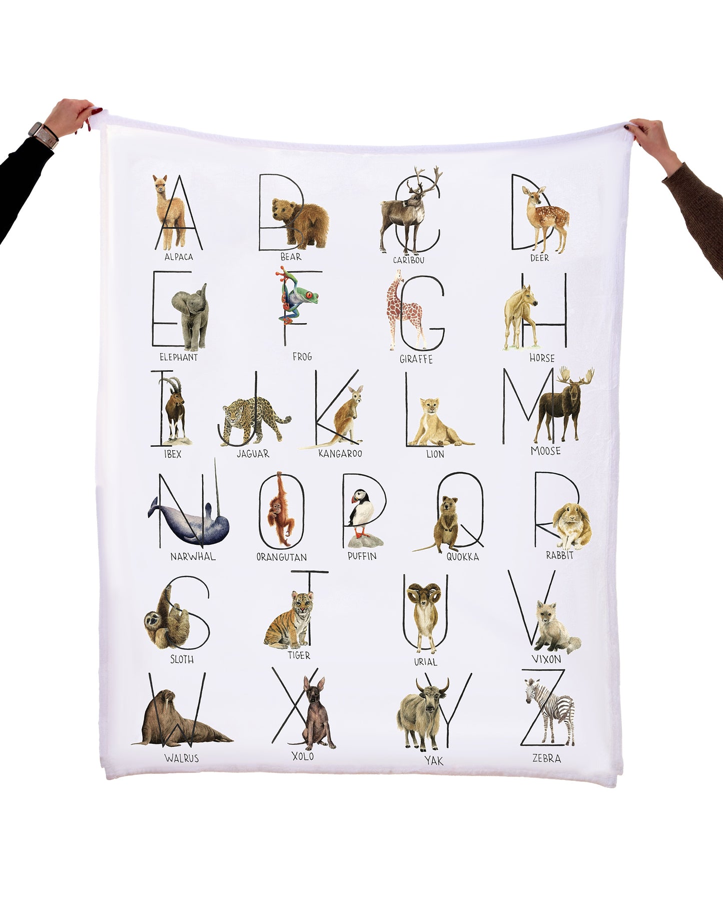 SUPER PLUSH Velveteen Blankets