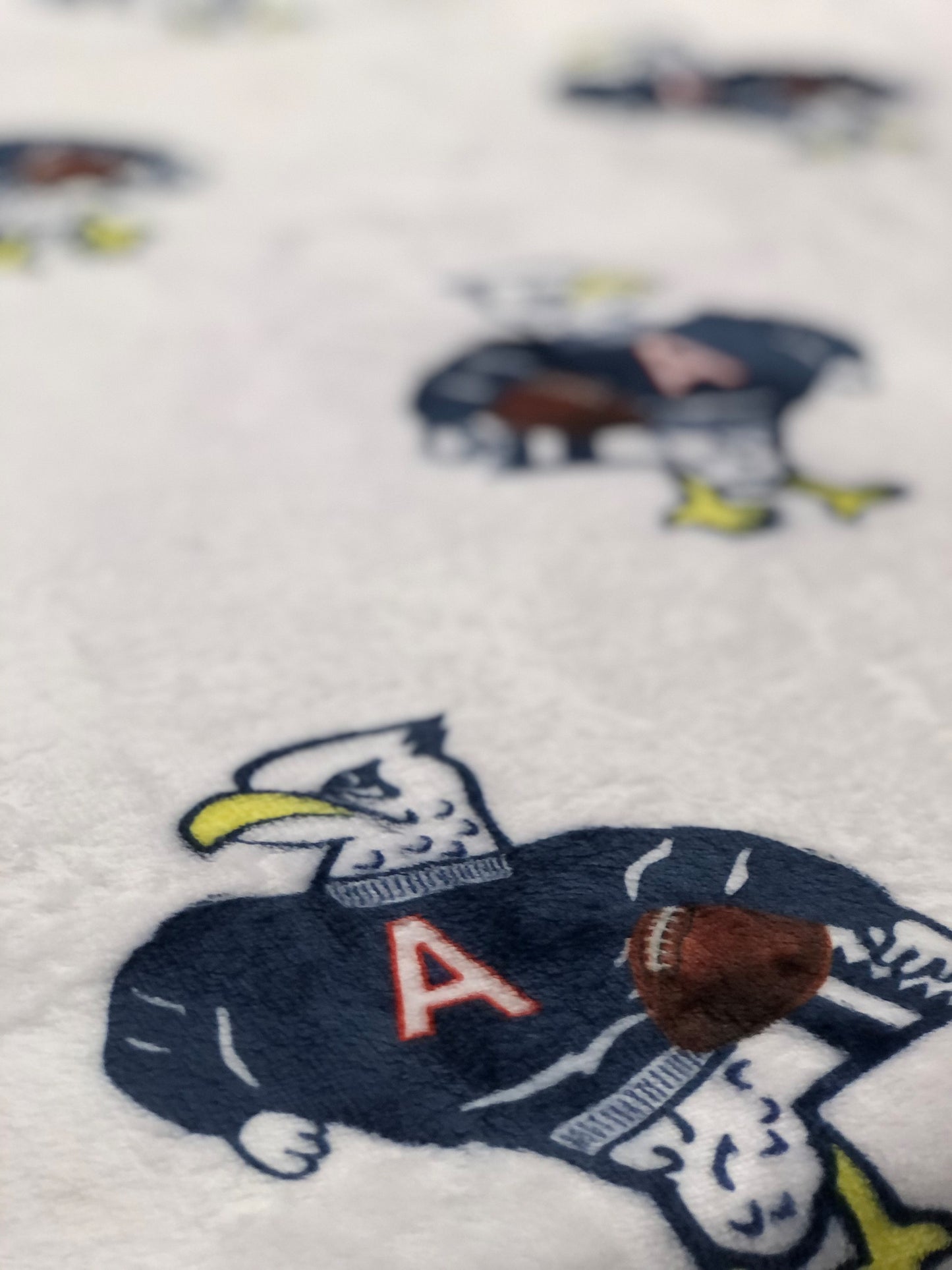 SUPER PLUSH Velveteen Blankets
